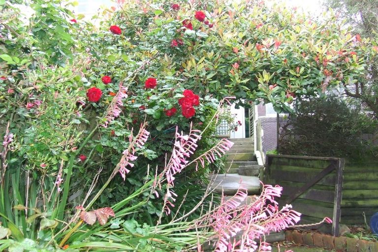 Photo of property in 46 Halifax Street, Kingston, Wellington, 6021