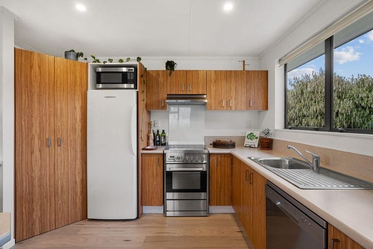 Photo of property in 48 Antimony Crescent, Cromwell, 9310