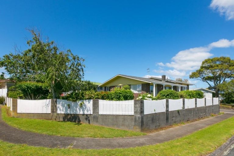 Photo of property in 20 Leon Place, Waitara, 4320