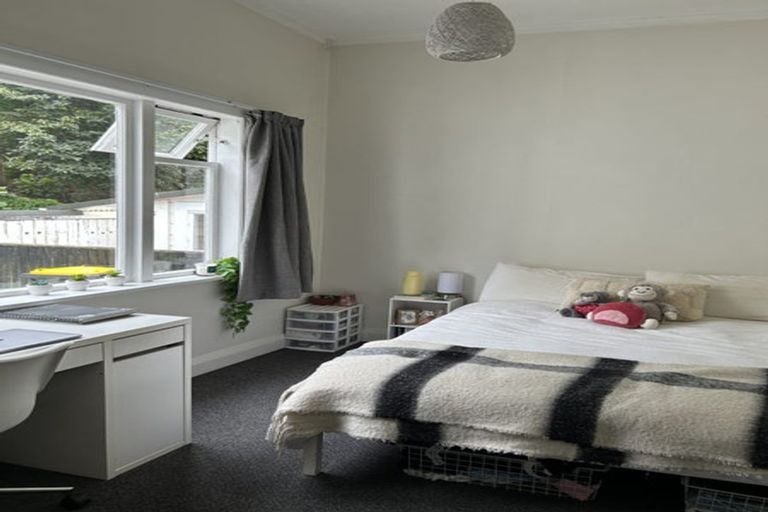 Photo of property in 60 Honiana Te Puni Street, Aro Valley, Wellington, 6021