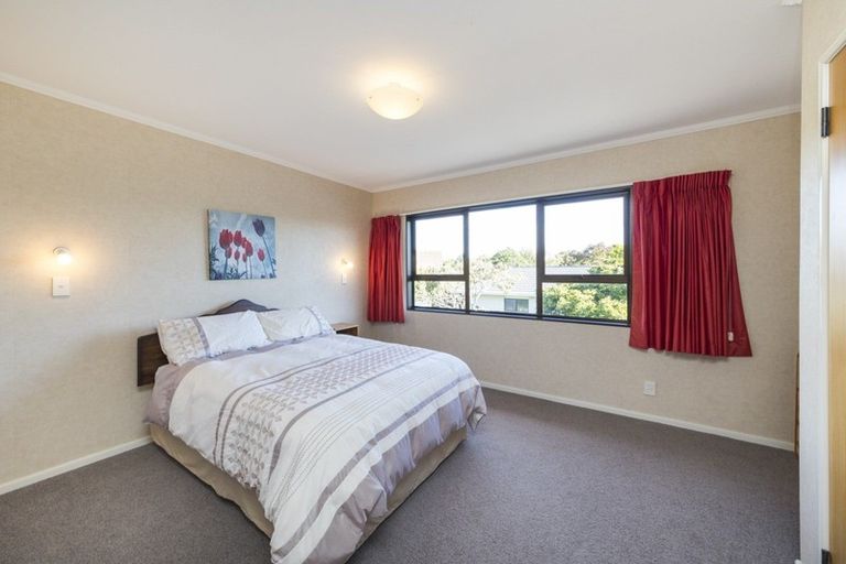 Photo of property in 225 The Terrace, Ashhurst, 4810