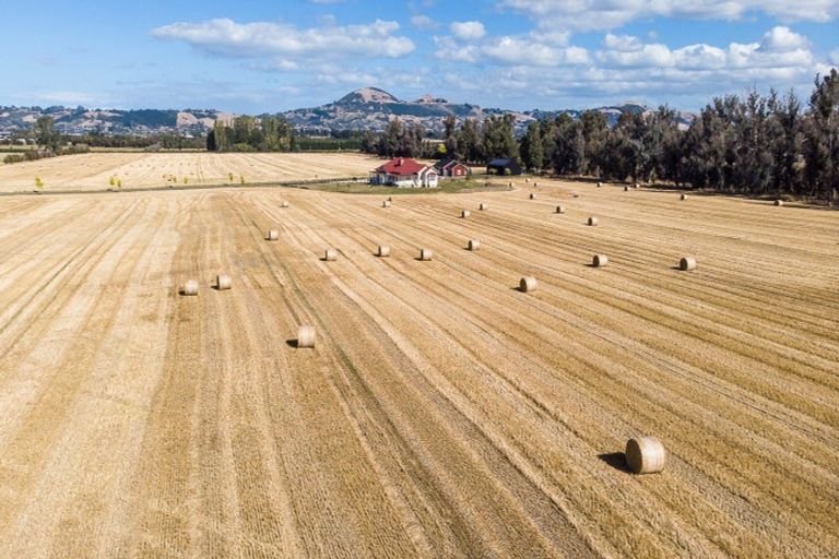 Photo of property in 108 Wairongoa Road, North Taieri, Mosgiel, 9092