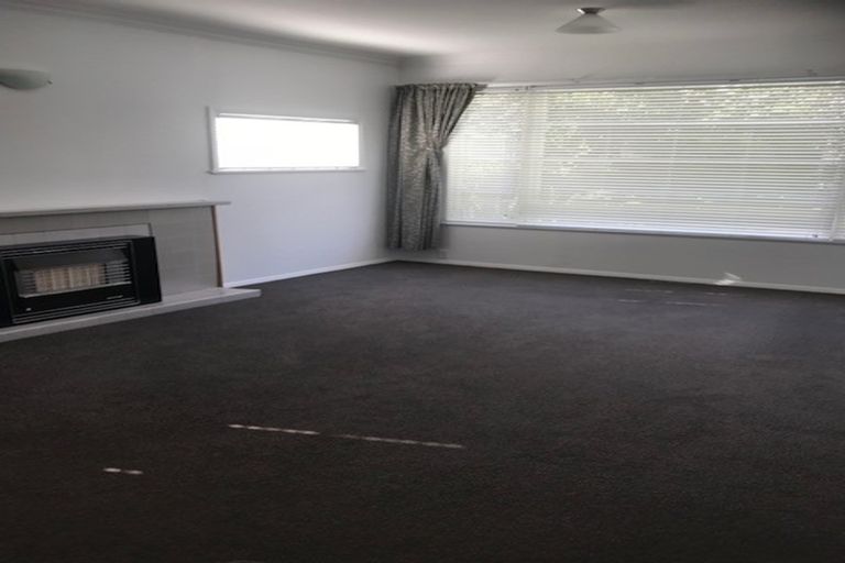 Photo of property in 11 Strathmore Place, Awapuni, Palmerston North, 4412