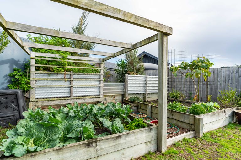 Photo of property in 29b Seabreeze Road, Mangawhai Heads, Mangawhai, 0505