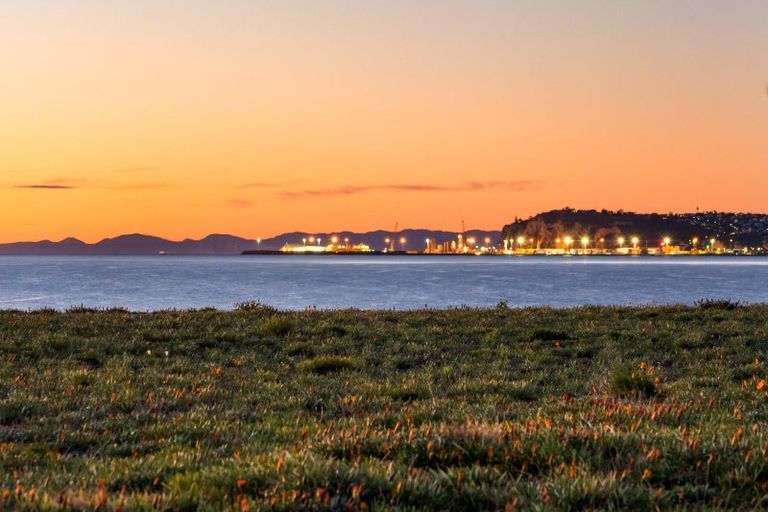 Photo of property in 21 Le Quesne Road, Bay View, Napier, 4104