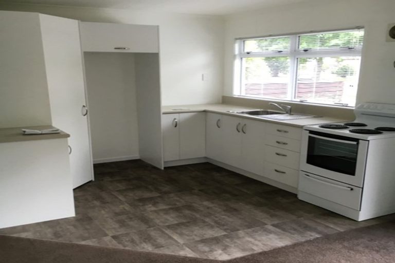 Photo of property in 1/17 Wellington Street, Hamilton East, Hamilton, 3216