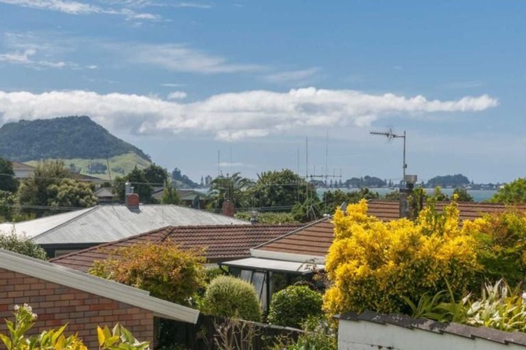 Photo of property in 20b Laing Place, Otumoetai, Tauranga, 3110