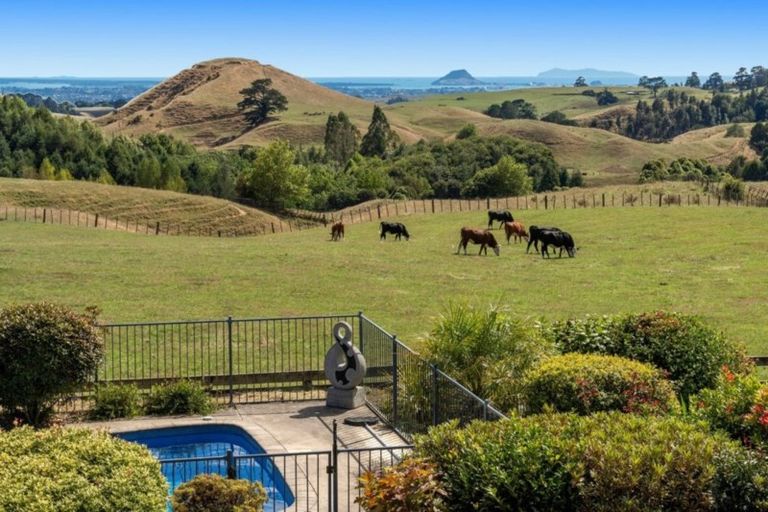 Photo of property in 49b Lloyds Lane, Oropi, Tauranga, 3173