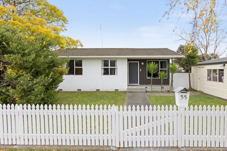 Photo of property in 55 Allen Berry Avenue, Pirimai, Napier, 4112