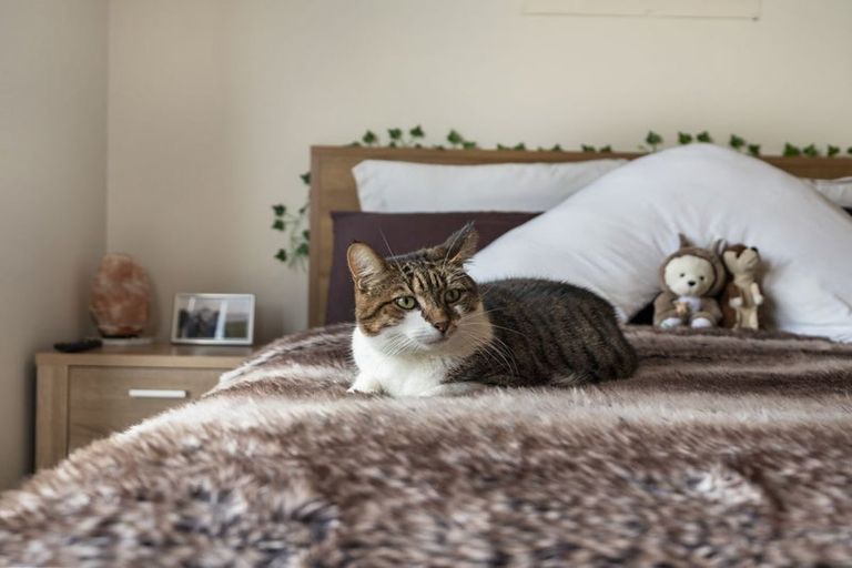 Photo of property in 26 Bathurst Crescent, Pokeno, 2402