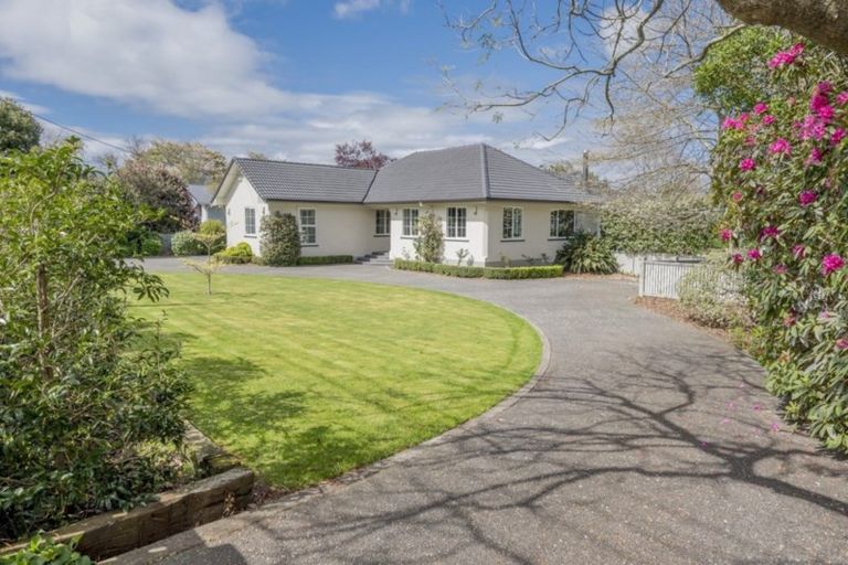 Photo of property in 47 Kawiu Road, Levin, 5510