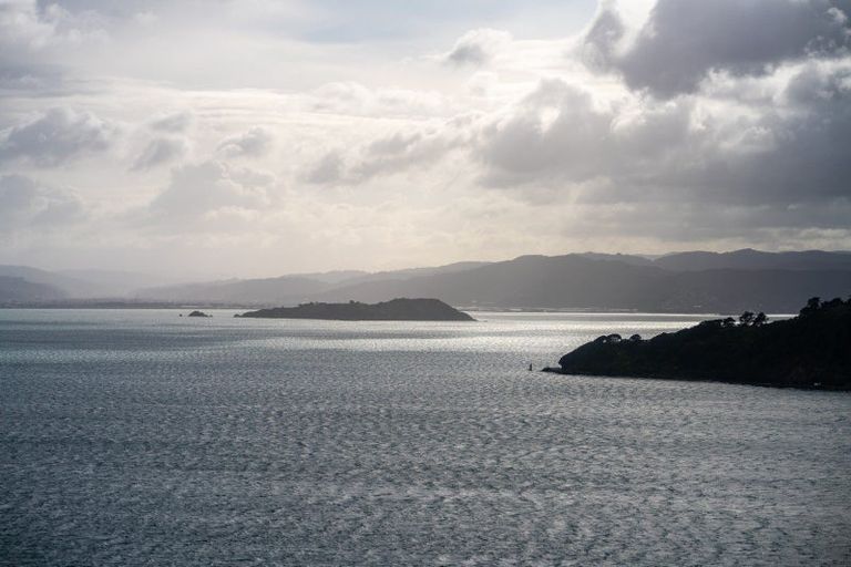 Photo of property in 142 Grafton Road, Roseneath, Wellington, 6011