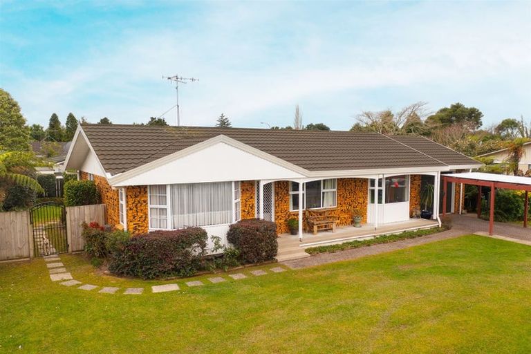 Photo of property in 107 Clarkin Road, Fairfield, Hamilton, 3214