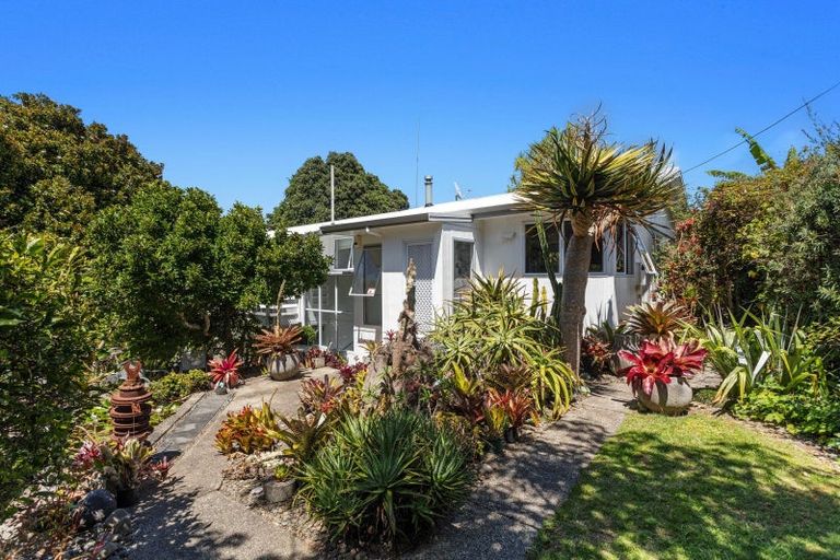 Photo of property in 251 Ruatuna Road, Waiotahe, Opotiki, 3198