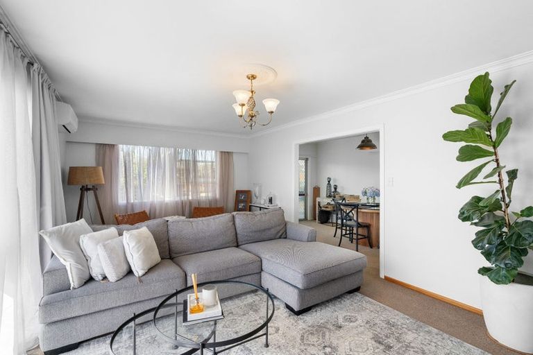 Photo of property in 19 Burn Street, Levin, 5510