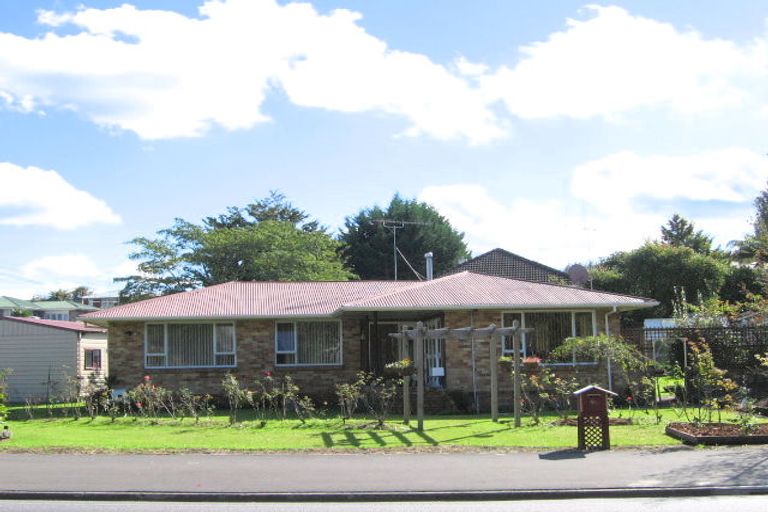 Photo of property in 96 Tirau Street, Putaruru, 3411