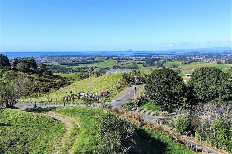 Photo of property in 335 Lindemann Road, Tahawai, Katikati, 3170