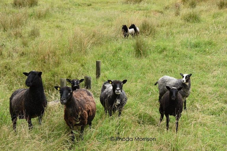 Photo of property in State Highway 12, Paparoa, Maungaturoto, 0583