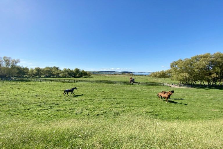 Photo of property in 328 Hokio Beach Road, Hokio Beach, Levin, 5571