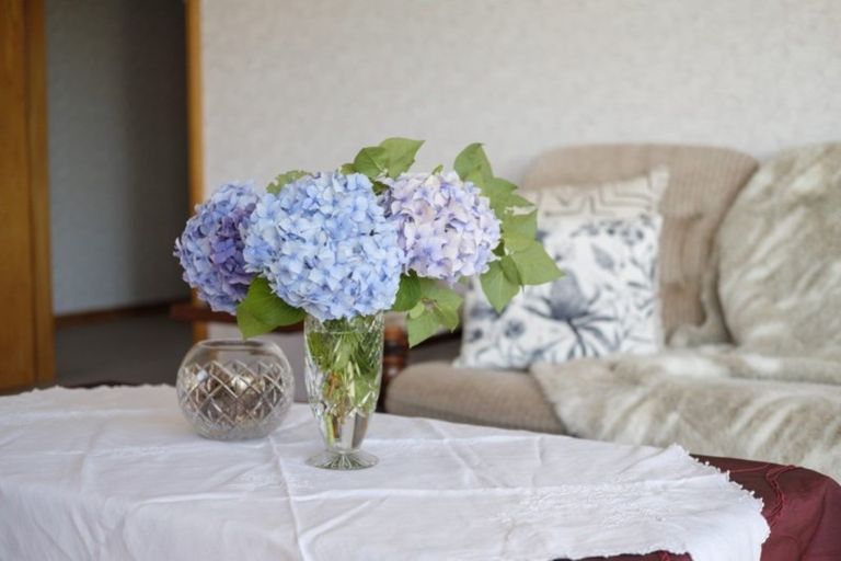 Photo of property in 25a Michie Street, Belleknowes, Dunedin, 9011