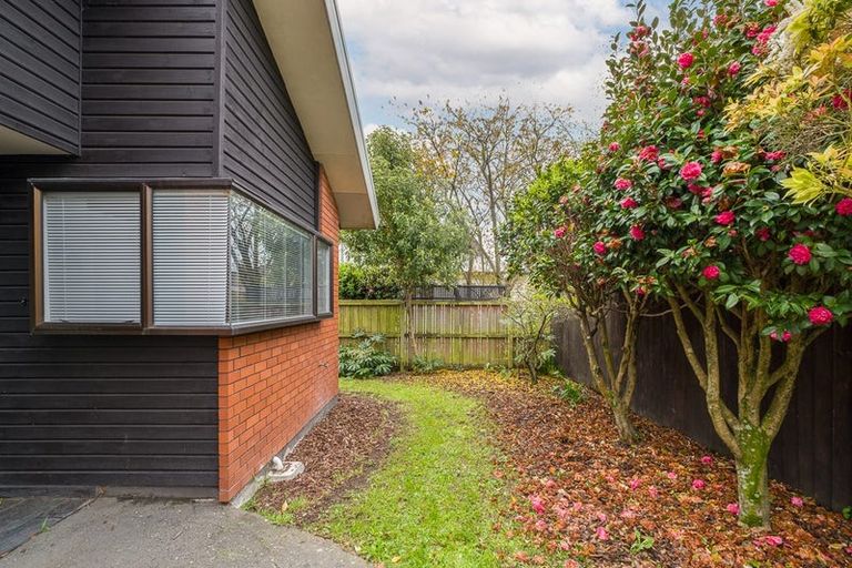 Photo of property in 297b Ashgrove Terrace, Somerfield, Christchurch, 8024