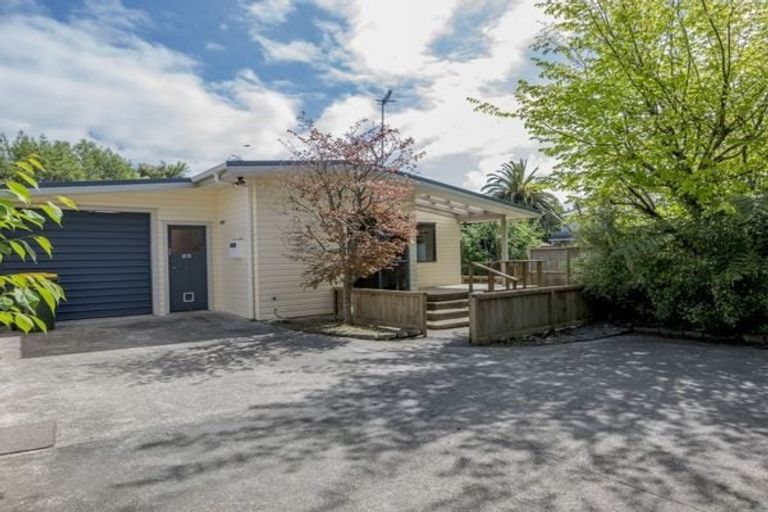 Photo of property in 18a Mckenzie Street, Levin, 5510