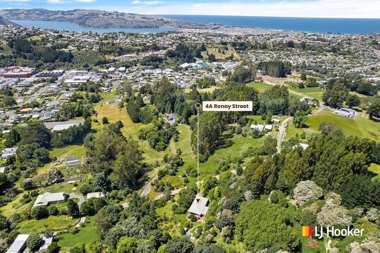 Photo of property in 4a Ronay Street, Bradford, Dunedin, 9011