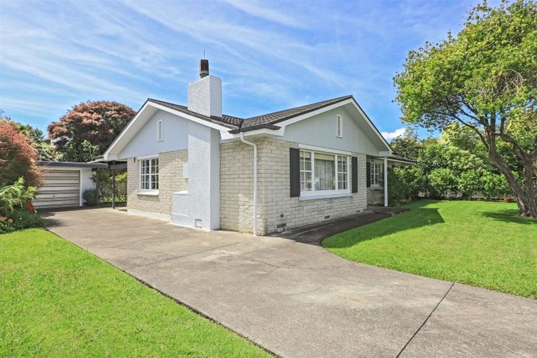 Photo of property in 3 Shortland Place, Havelock North, 4130