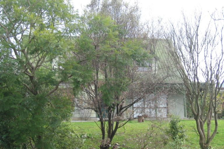 Photo of property in 44 Hazelwood Avenue, Dinsdale, Hamilton, 3204