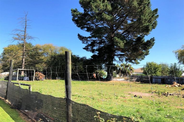 Photo of property in 48 Burns Street, Milton, 9220