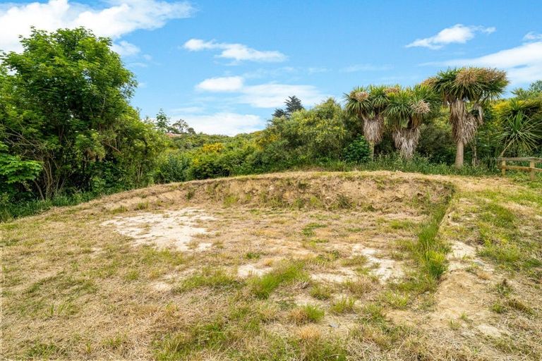 Photo of property in 251 Coast Road, Warrington, Waikouaiti, 9471