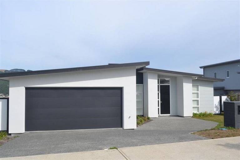 Photo of property in 82 John Burke Drive, Aotea, Porirua, 5024
