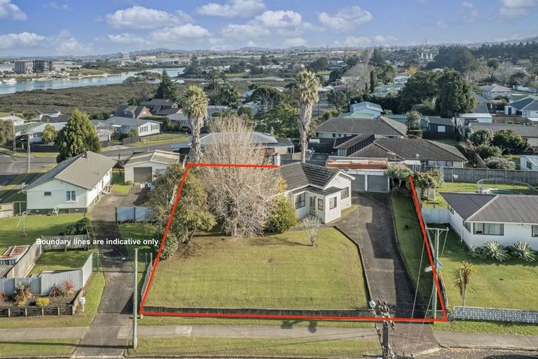 Photo of property in 57 Tiraumea Drive, Pakuranga, Auckland, 2010