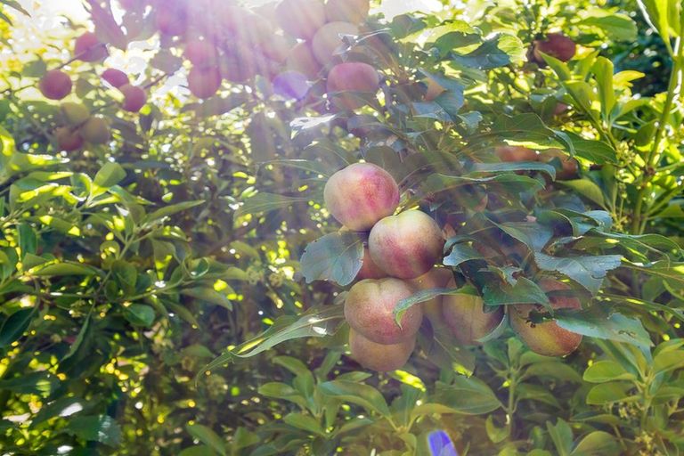 Photo of property in 169b Te Moana Road, Waikanae, 5036