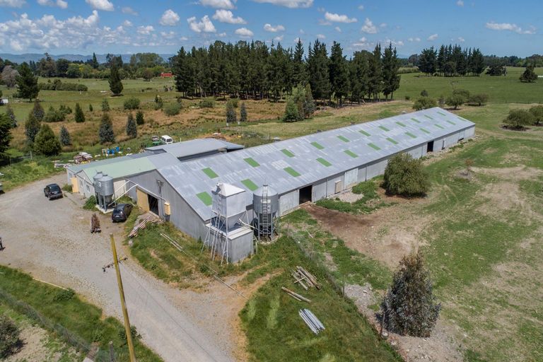 Photo of property in 337 Upper Plain Road, Upper Plain, Masterton, 5888