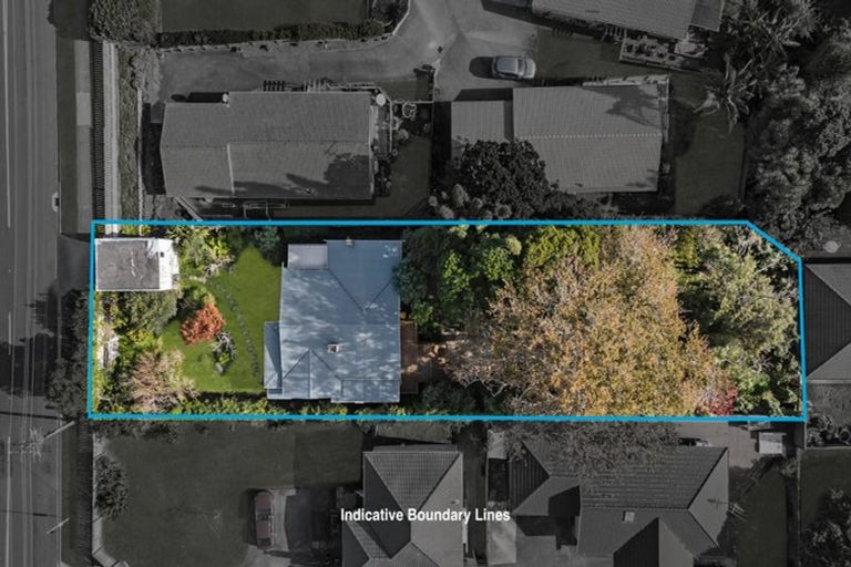 Photo of property in 117 Hutchinson Avenue, New Lynn, Auckland, 0600