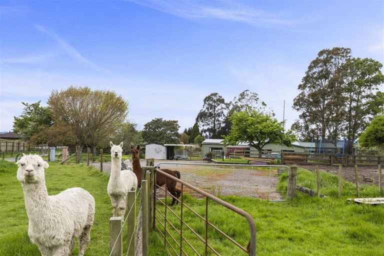 Photo of property in 47c Caledonia Road, Ngongotaha, Rotorua, 3010