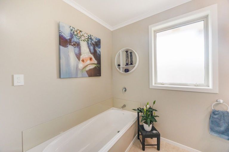 Photo of property in 5a Blenheim Place, Feilding, 4702