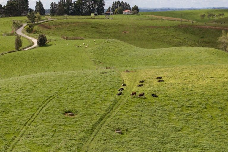 Photo of property in 697 Maungatawhiri Road, Raglan, 3295