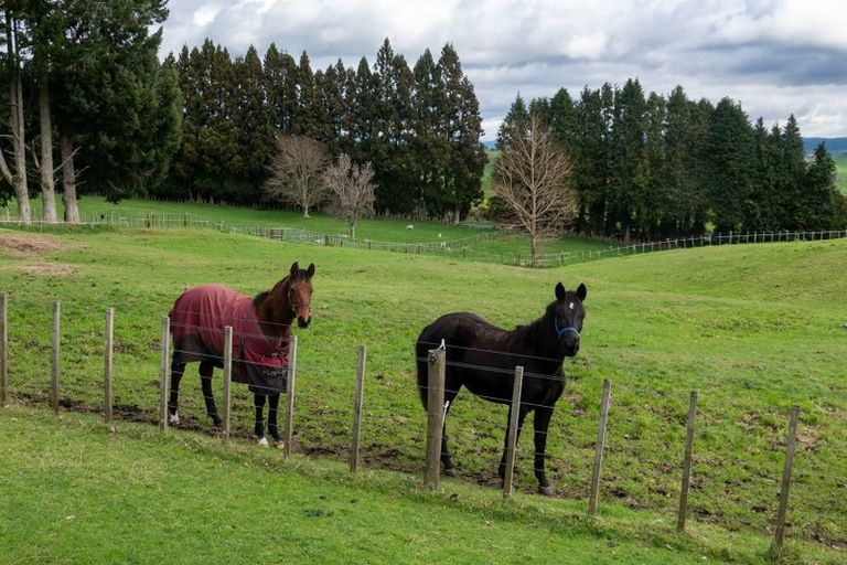 Photo of property in 1029 Kaahu Road, Whakamaru, Mangakino, 3492