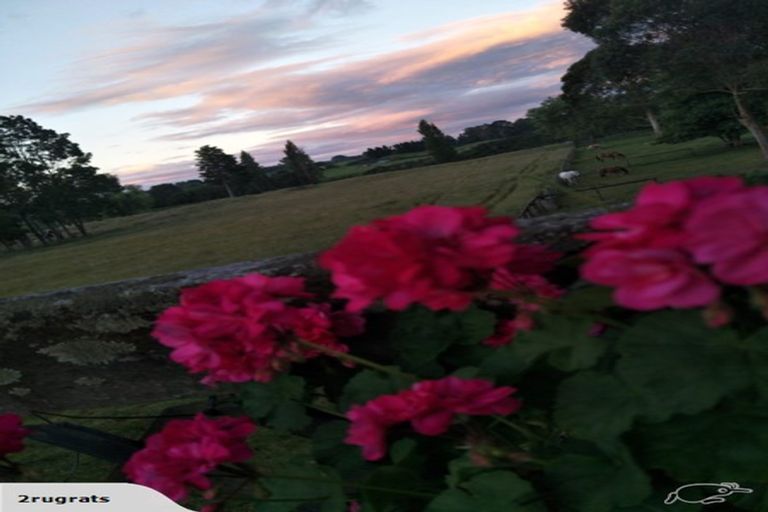 Photo of property in 221 Hamurana Road, Hamurana, Rotorua, 3097