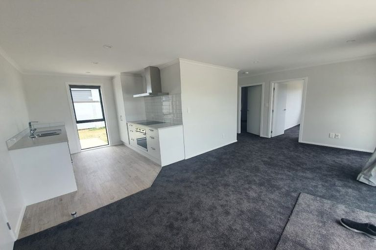 Photo of property in 97 Hinemoa Street, Levin, 5510