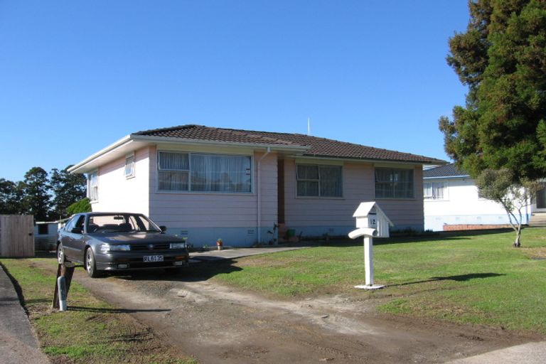 Photo of property in 12 Glynnbrooke Street, Te Atatu South, Auckland, 0610