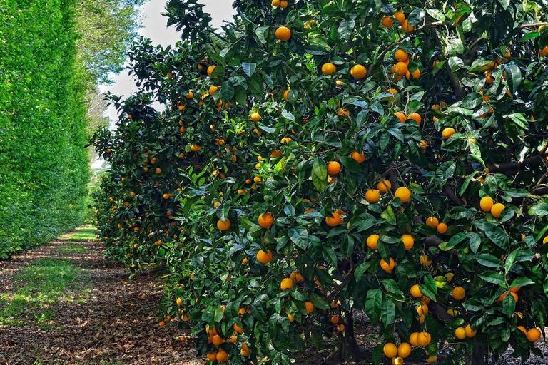 Photo of property in 230 Harper Road, Makauri, Gisborne, 4071