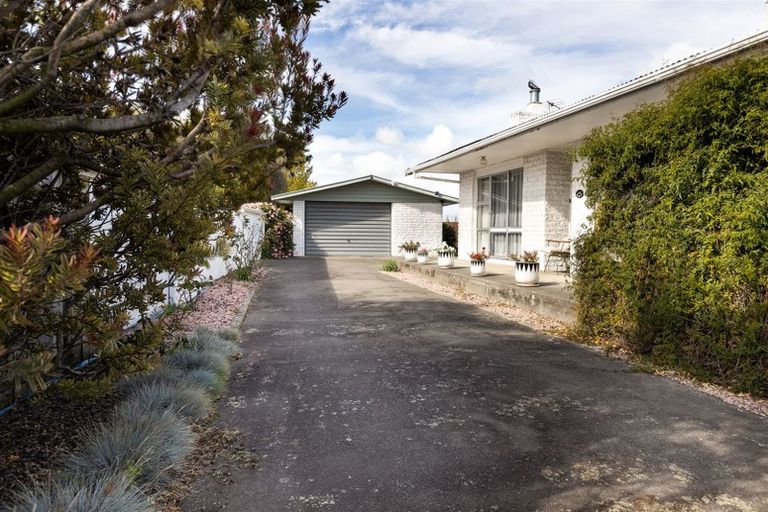 Photo of property in 119a Redwood Street, Redwoodtown, Blenheim, 7201