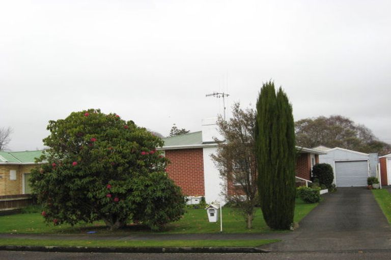 Photo of property in 61 Karaka Crescent, Levin, 5510
