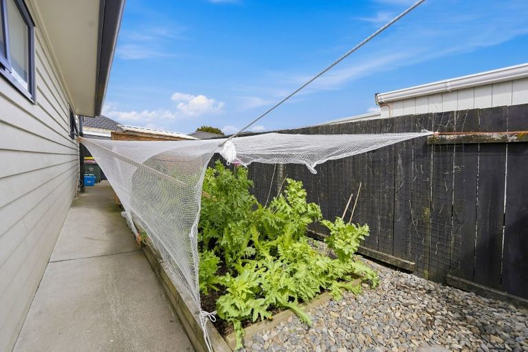Photo of property in 89a Cameron Road, Te Puke, 3119