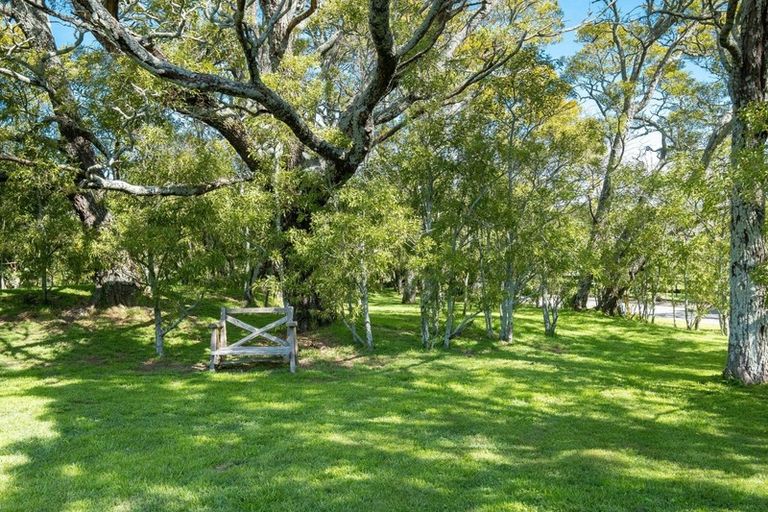 Photo of property in 317 Te Mata Road, Havelock North, 4294