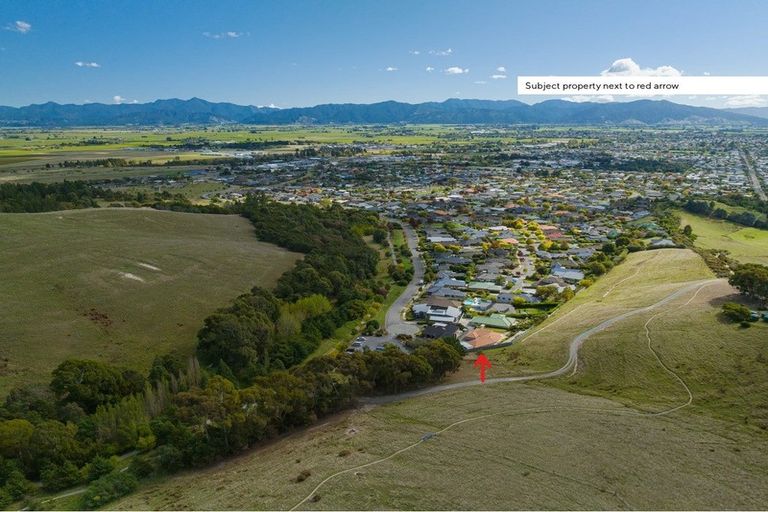 Photo of property in 61 Forest Park Drive, Witherlea, Blenheim, 7201