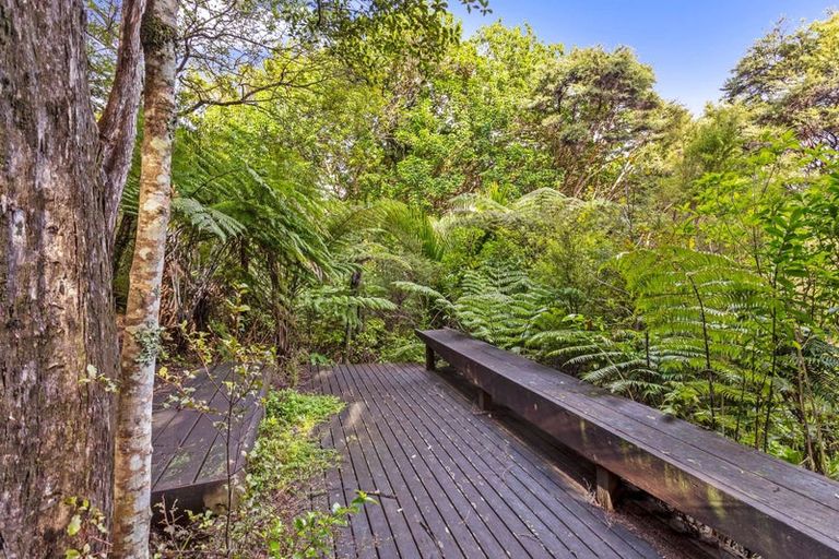 Photo of property in 24 Punga Place, Whitianga, 3510